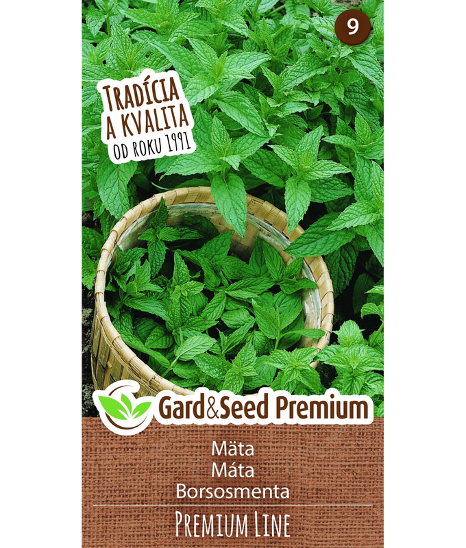 Grönmynta Mojito Mynta