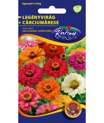 Zinnia Dahlia Färgmix