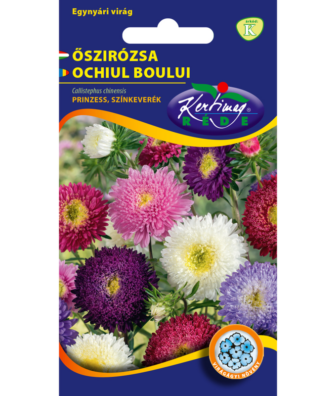 Sommaraster Prinzess Färgmix