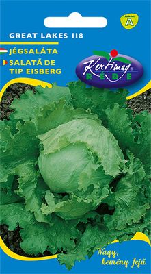 Isbergssallat Great Lakes