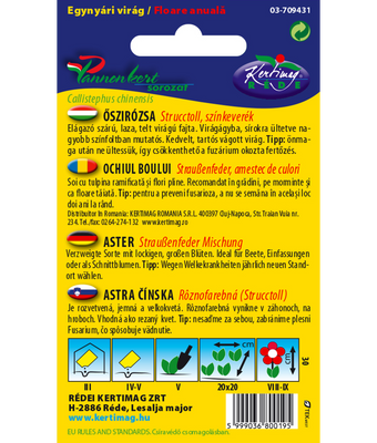 Sommaraster Strutsplym