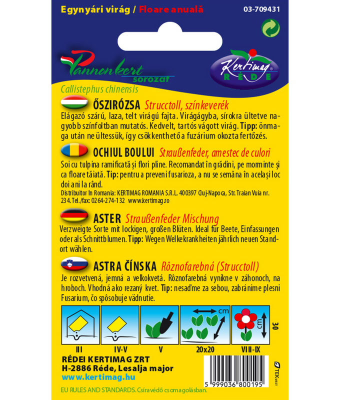 Sommaraster Strutsplym