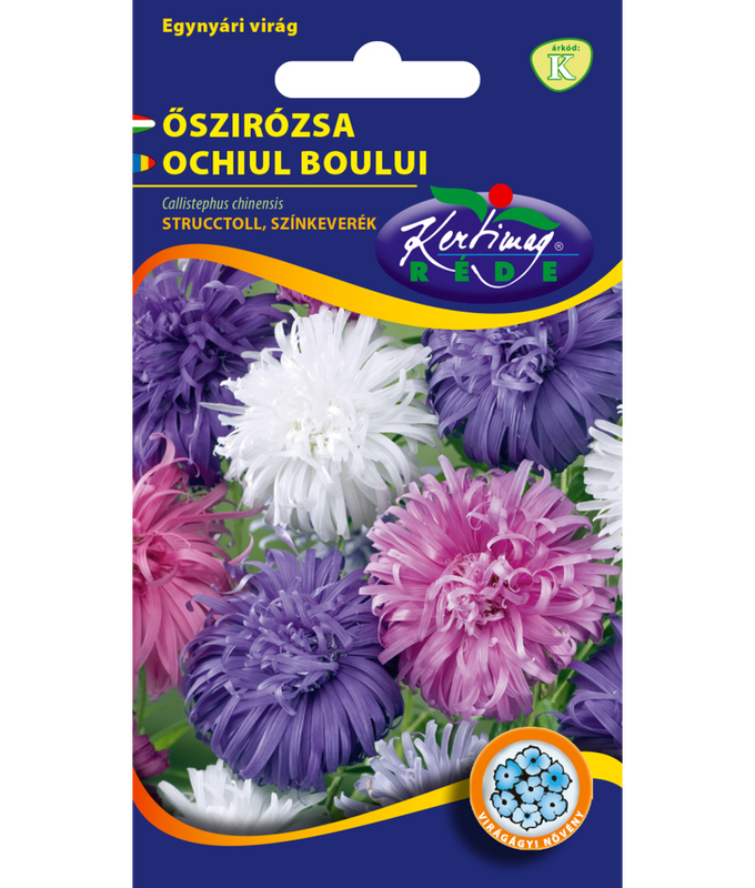 Sommaraster Strutsplym