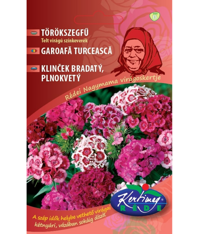 Borstnejlika Färgmix