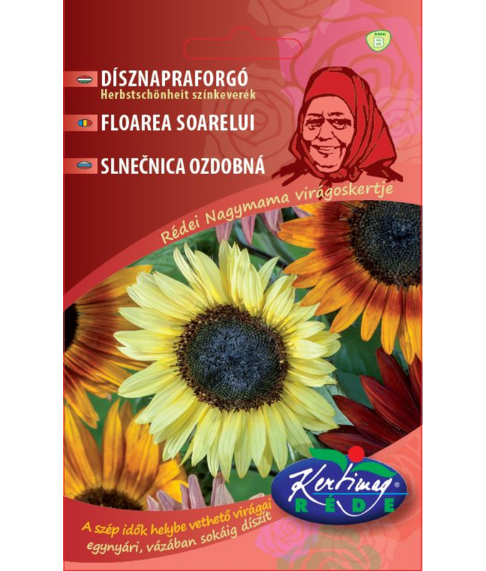 Dekorativ solros Färgmix