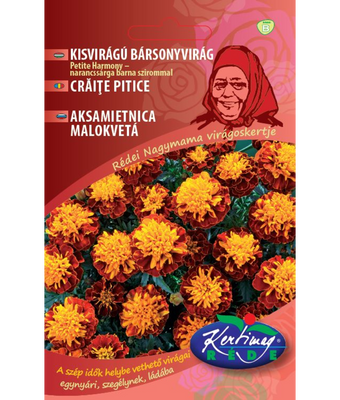 Tagetes Petite Harmony