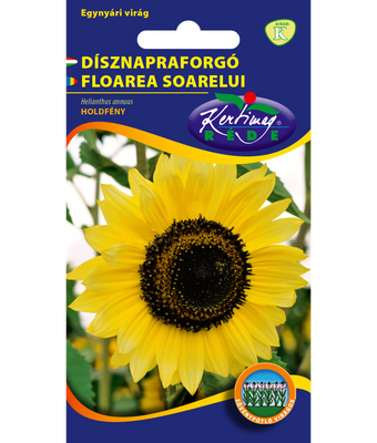 Dekorativ Solros Månsken