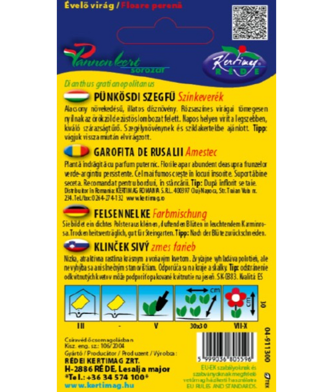 Stor Bergnejlika Grandiflorus