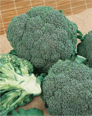 Broccoli Limba