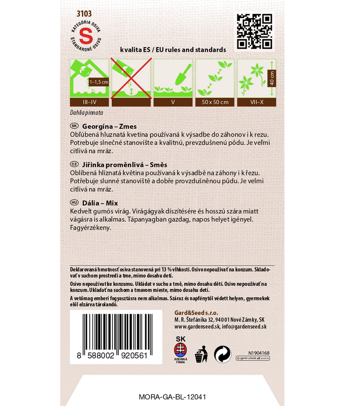 Sommardahlia Färgmix