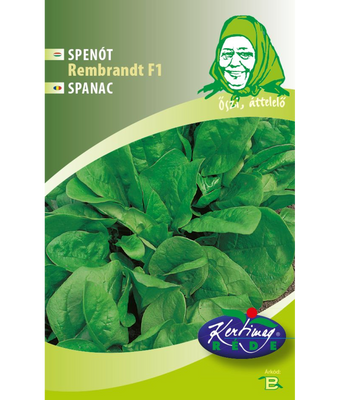 Babyspenat Rembrandt F1