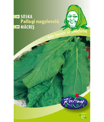 Ängssyra Pallagi storbladig