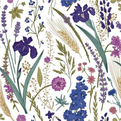 Iris