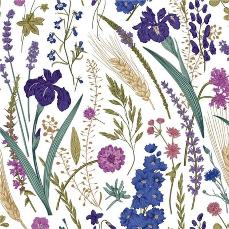 Iris