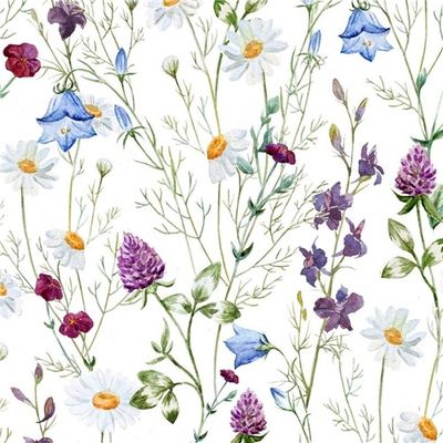 Ängsblommor
