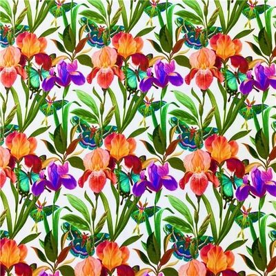 Färgglada blommor och fjärilar på vitt