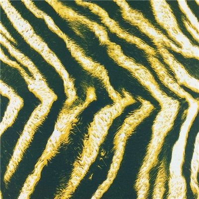 Black and yellow stripes