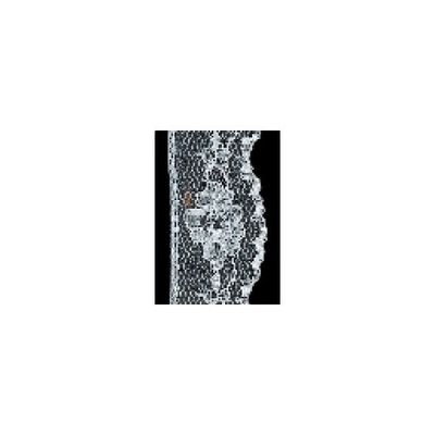 Spets i nylon 21mm - Vit