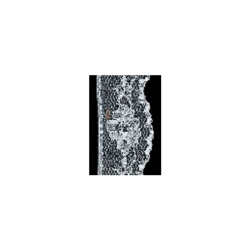 Spets i nylon 21mm - Vit