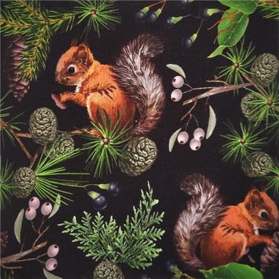Squirrel Svart