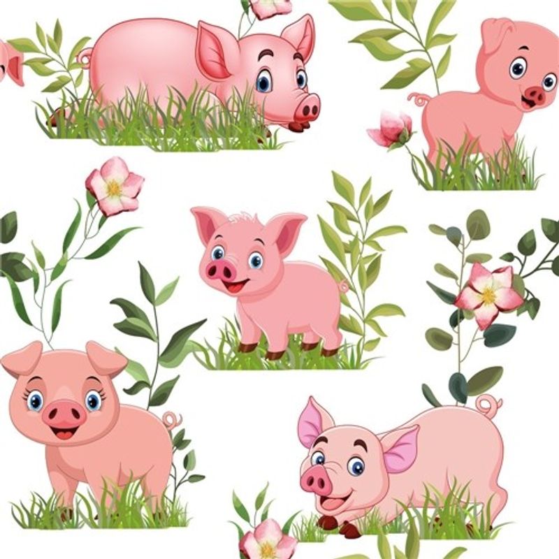 Piggy Vit