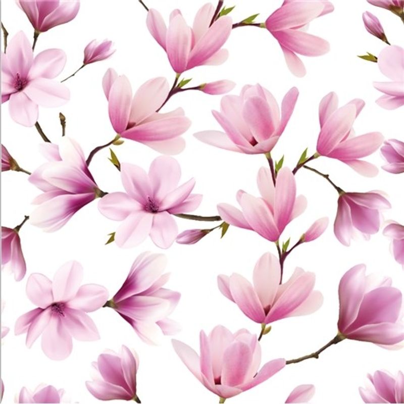 Magnoliaknopp Vit