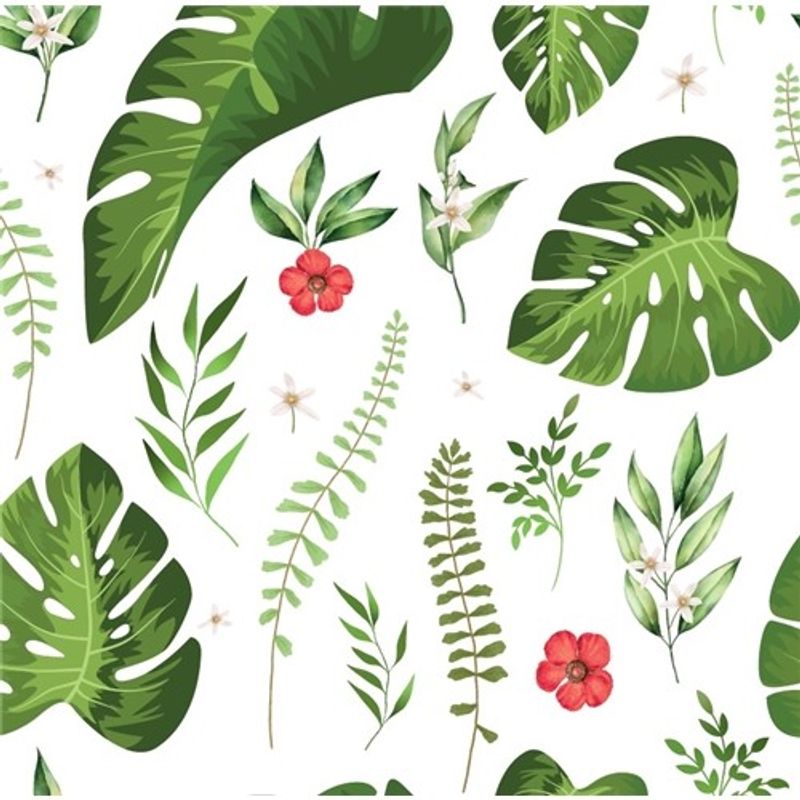 Rödblommig monstera Vit