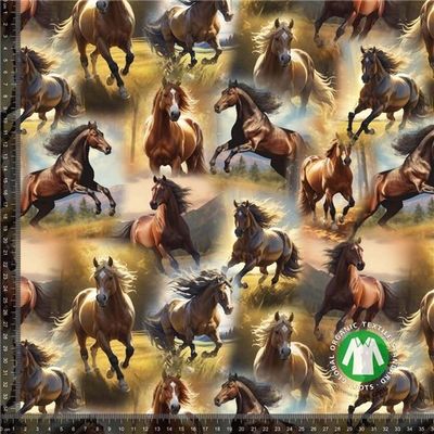 Beautiful Horses