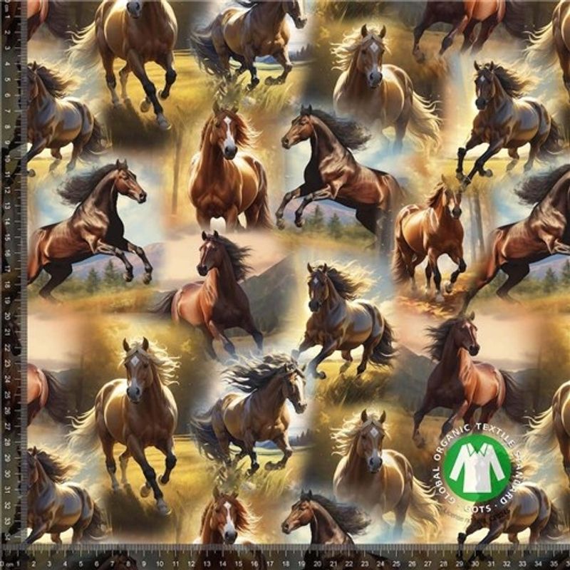 Beautiful Horses