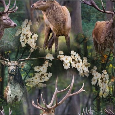 Oh Deer