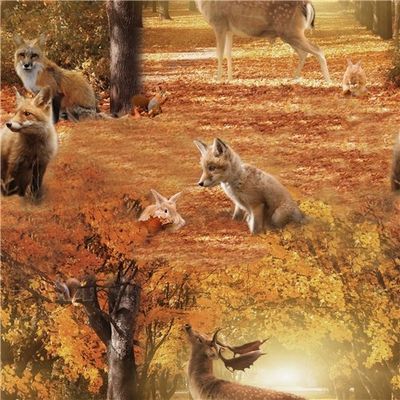 Friends in the forest