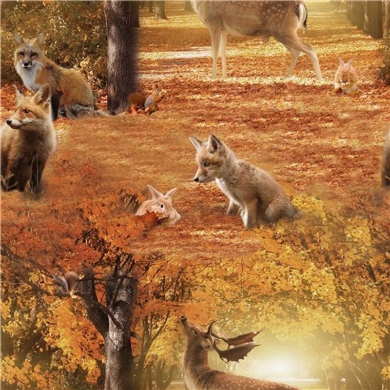 Friends in the forest