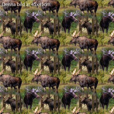 Holy Mooses