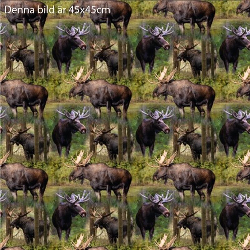 Holy Mooses