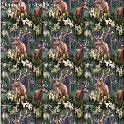 Oh Deer