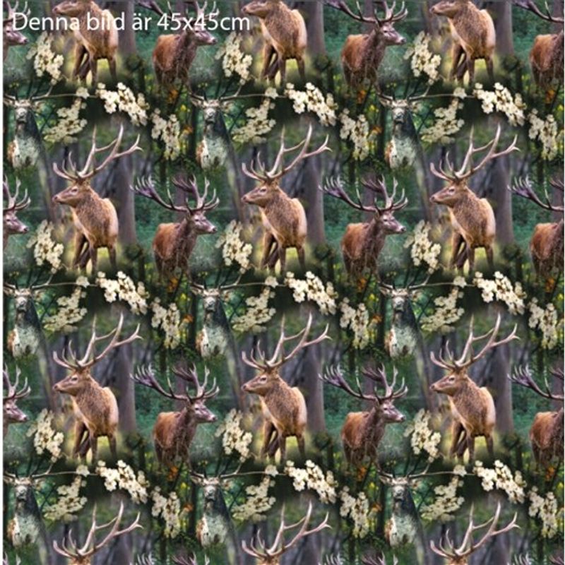 Oh Deer