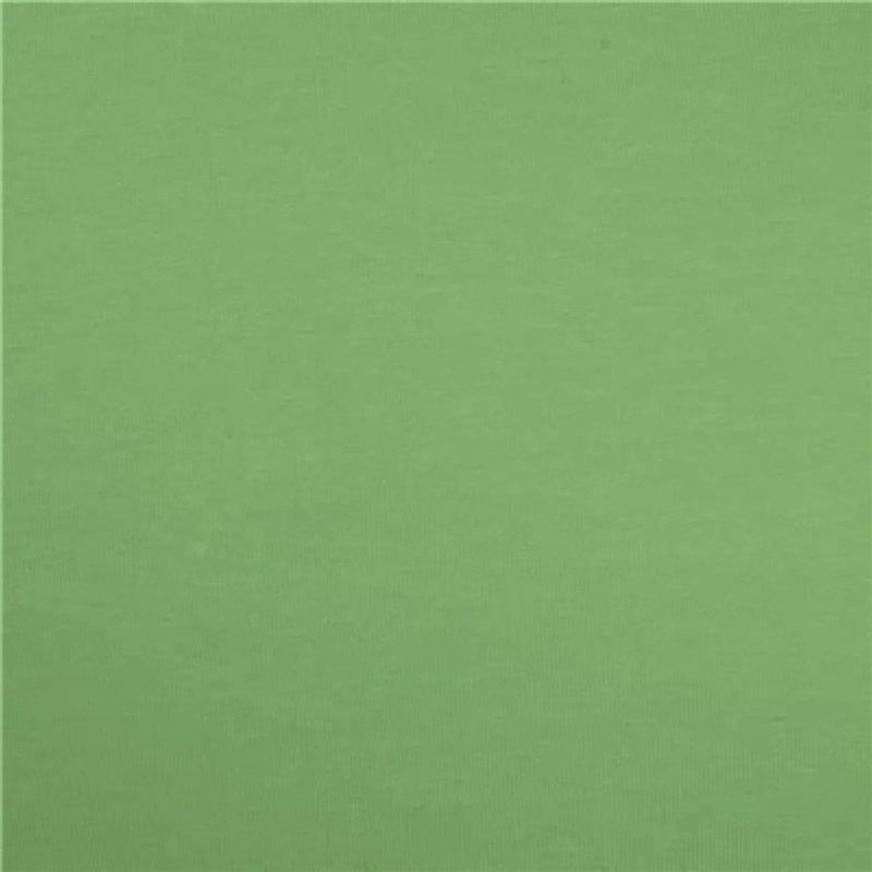 Enfärgad Trikå Dusty Mint