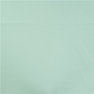 Enfärgad Trikå Pastell Mint