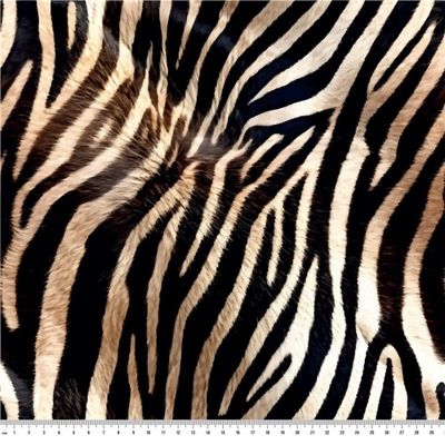Zebrapäls