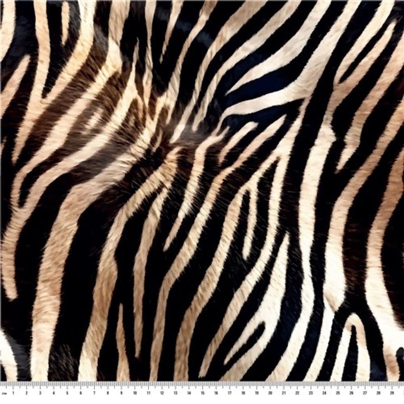 Zebrapäls