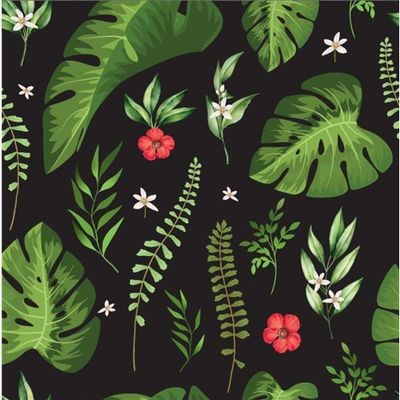 Rödblommig monstera Svart