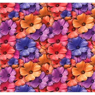 Inbjudande Blommor