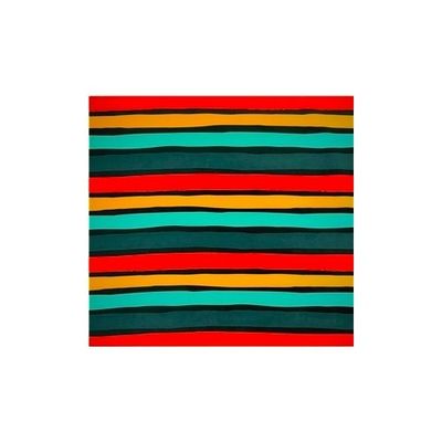 Softshell Multicoloured Stripes