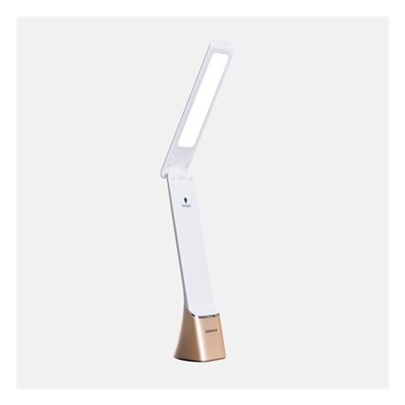 DAYLIGHT -LED Bärbar, lätt och uppladdningsbar 6000K