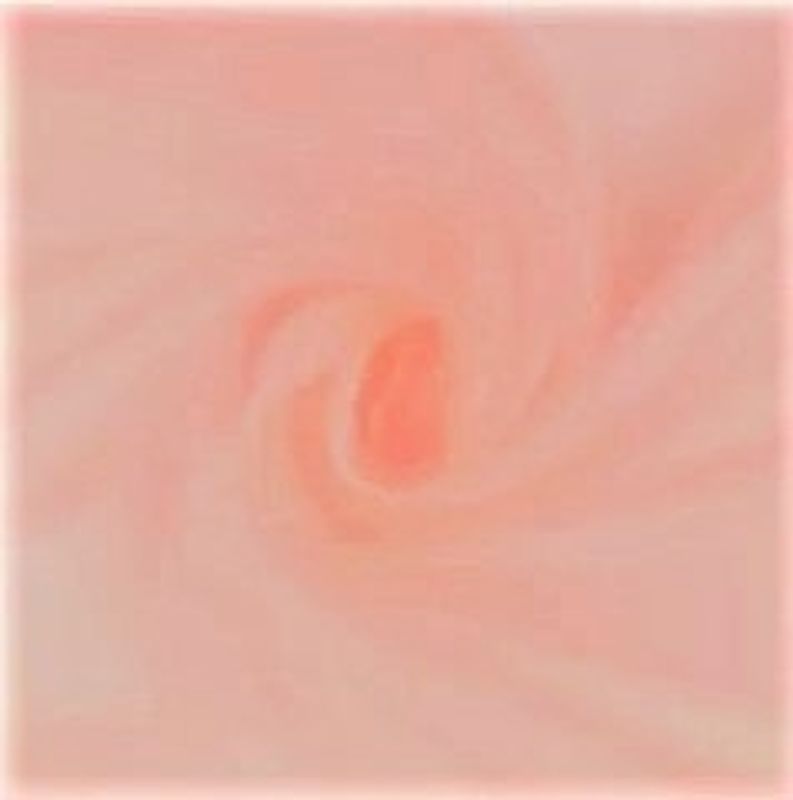 Organza Rose