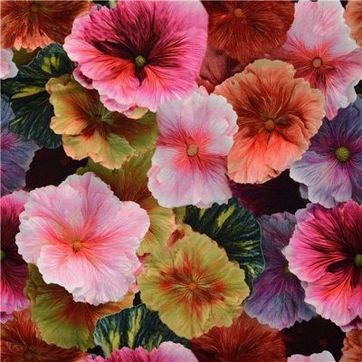 Multicolor Flowers 2 Jogging