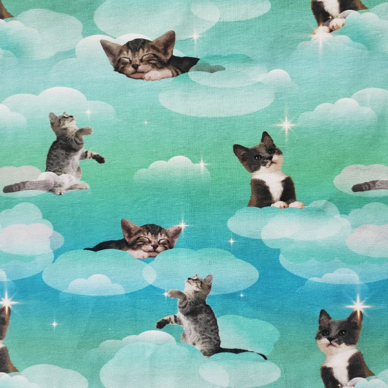 Kittens in the clouds