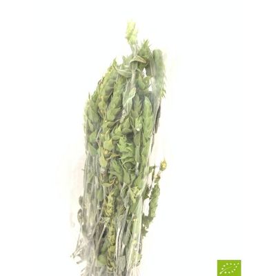 Grekiskt Bergsté, kvistar, EKO, 50gram