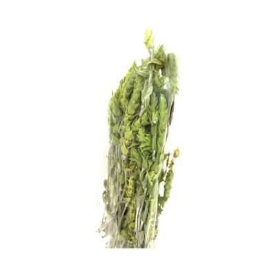 Grekiskt Bergsté, kvistar, ekologiskt, 50 g