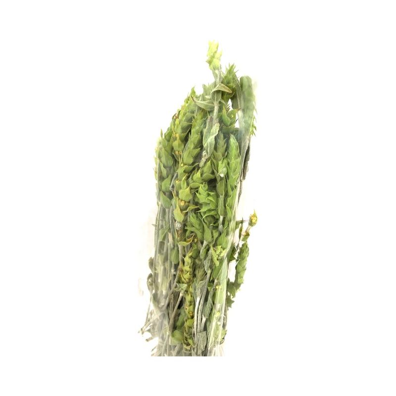 Grekiskt Bergsté, kvistar, ekologiskt, 50 g